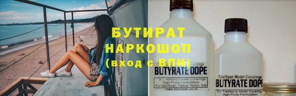 хмурый Алексин