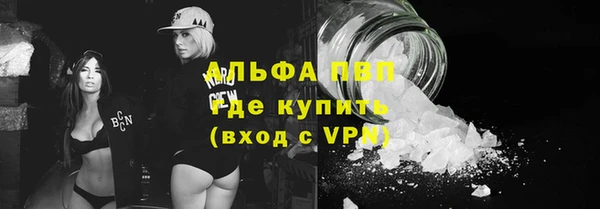 хмурый Алексин