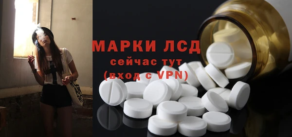 хмурый Алексин