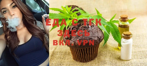 хмурый Алексин