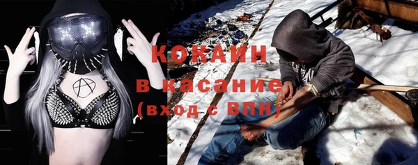 хмурый Алексин