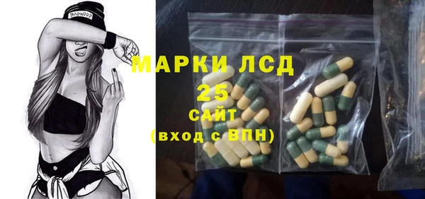хмурый Алексин